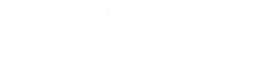 logo horizontal s w